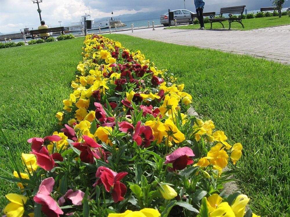 Vila Kosta City Center Port Ohrid Bagian luar foto